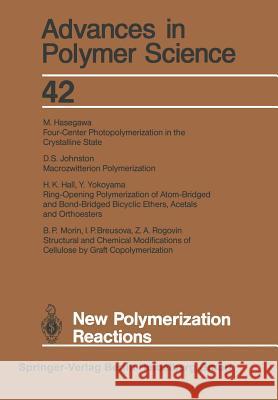 New Polymerization Reactions I. P. Breusova H. K. Hall M. Hasegawa 9783662153543 Springer