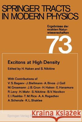 Excitons at High Density H. Haken S. Nikitine 9783662155226 Springer