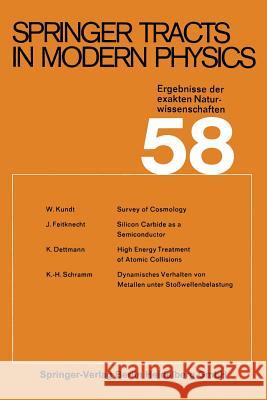 Springer Tracts in Modern Physics: Ergebnisse Der Exakten Naturwissenschaften Kundt, W. 9783662155905 Springer