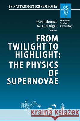 From Twilight to Highlight: The Physics of Supernovae: Proceedings of the ESO/MPA/MPE Workshop Held at Garching, Germany, 29–31 July 2002 Wolfgang Hillebrandt, Bruno Leibundgut 9783662307830 Springer-Verlag Berlin and Heidelberg GmbH & 