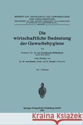 Die Wirtschaftliche Bedeutung Der Gewerbehygiene Otto Vo Walter Vo 9783662313992 Springer