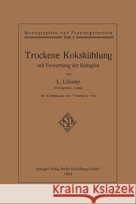 Trockene Kokskühlung Mit Verwertung Der Koksglut Litinsky, Leonid 9783662334331 Springer