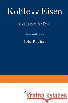 Kohle Und Eisen in Allen Ländern Der Erde: Gruppe V, Classe 43 Pechar, Johann 9783662357293