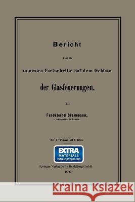 Bericht Über Die Neuesten Fortschritte Auf Dem Gebiete Der Gasfeuerungen Steinmann, Ferdinand 9783662391235