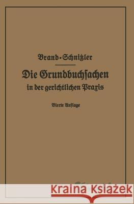 Die Grundbuchsachen in Der Gerichtlichen Praxis Einschließlich Aufwertung Der Grundstückspfandrechte Brand, Arthur 9783662407943 Springer