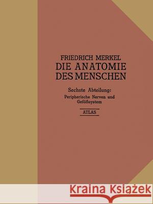 Atlas Zu Peripherische Nerven Und Gefäßsystem Merkel, Friedrich 9783662426449 J.F. Bergmann-Verlag