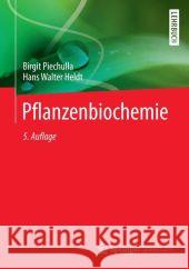 Pflanzenbiochemie Hans Walter Heldt Birgit Piechulla 9783662443972 Springer Spektrum