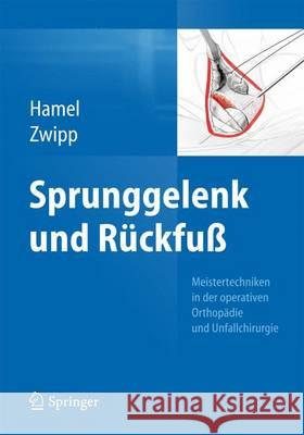 Sprunggelenk Und Rückfuß Hamel, Johannes 9783662455708 Springer
