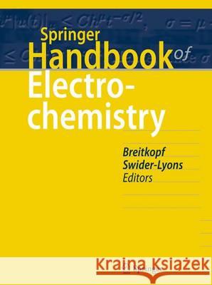 Springer Handbook of Electrochemical Energy Cornelia Breitkopf Karen Swider-Lyons 9783662466568 Springer