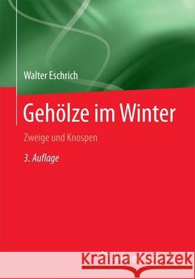 Gehölze Im Winter: Zweige Und Knospen Eschrich, Walter 9783662486894 Springer Spektrum