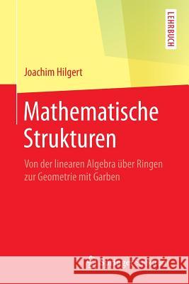 Mathematische Strukturen: Von Der Linearen Algebra Über Ringen Zur Geometrie Mit Garben Hilgert, Joachim 9783662488690 Springer Spektrum