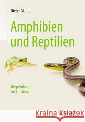 Amphibien Und Reptilien: Herpetologie Für Einsteiger Glandt, Dieter 9783662497265 Springer Spektrum