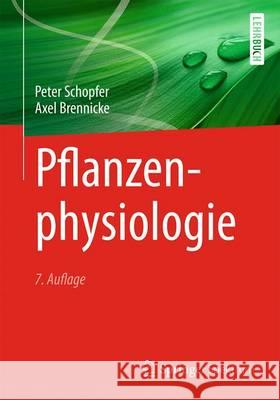 Pflanzenphysiologie Peter Schopfer Axel Brennicke 9783662498798