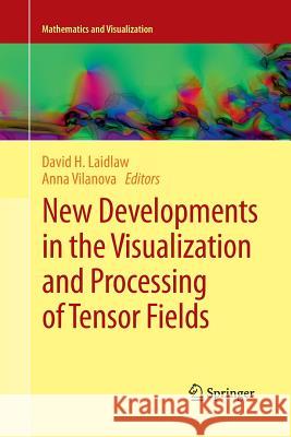 New Developments in the Visualization and Processing of Tensor Fields David H. Laidlaw Anna Vilanova 9783662507865 Springer