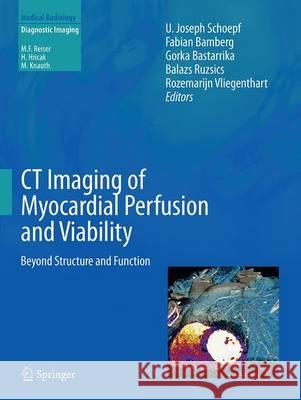 CT Imaging of Myocardial Perfusion and Viability: Beyond Structure and Function Schoepf, U. Joseph 9783662509104