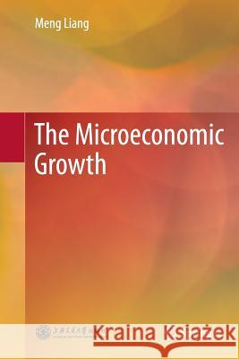 The Microeconomic Growth Meng Liang 9783662513866 Springer