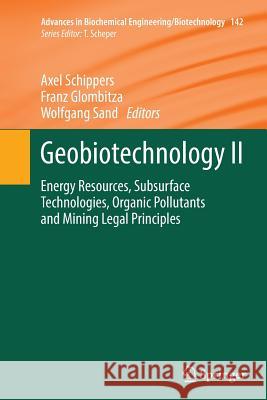 Geobiotechnology II: Energy Resources, Subsurface Technologies, Organic Pollutants and Mining Legal Principles Schippers, Axel 9783662515198