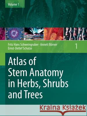Atlas of Stem Anatomy in Herbs, Shrubs and Trees, Volume 1 Schweingruber, Fritz Hans 9783662519547