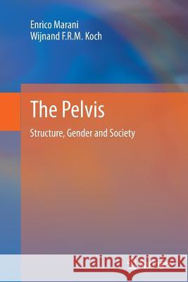 The Pelvis: Structure, Gender and Society Marani, Enrico 9783662524602 Springer