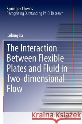 The Interaction Between Flexible Plates and Fluid in Two-Dimensional Flow Jia, Laibing 9783662524985 Springer