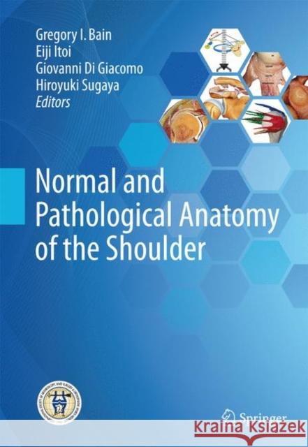 Normal and Pathological Anatomy of the Shoulder Gregory I. Bain Eiji Itoi Giovanni D 9783662525609 Springer