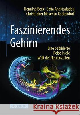 Faszinierendes Gehirn: Eine Bebilderte Reise in Die Welt Der Nervenzellen Beck, Henning 9783662547557 Springer