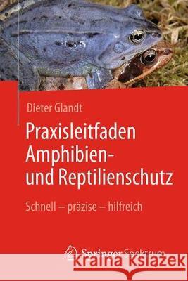 Praxisleitfaden Amphibien- Und Reptilienschutz: Schnell - Präzise - Hilfreich Glandt, Dieter 9783662557266 Springer, Berlin