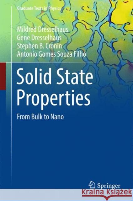 Solid State Properties: From Bulk to Nano Dresselhaus, Mildred 9783662559208
