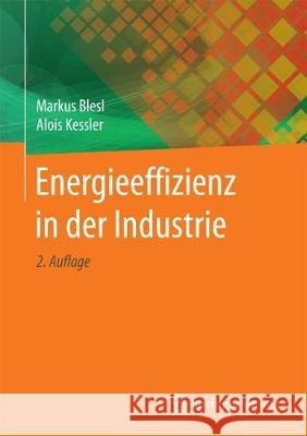 Energieeffizienz in Der Industrie Blesl, Markus 9783662559987 Springer Vieweg