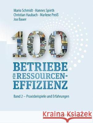 100 Betriebe Für Ressourceneffizienz: Band 2 - Praxisbeispiele Und Erfolgsfaktoren Schmidt, Mario 9783662567111 Springer Spektrum