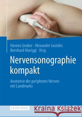 Nervensonographie Kompakt: Anatomie Der Peripheren Nerven Mit Landmarks Gruber, Hannes 9783662567531 Springer