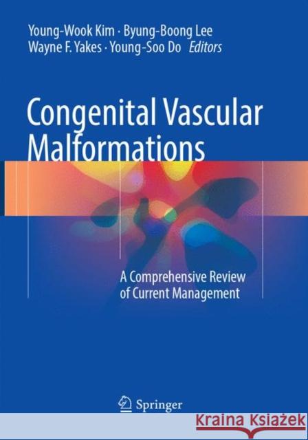 Congenital Vascular Malformations: A Comprehensive Review of Current Management Kim, Young-Wook 9783662568897 Springer