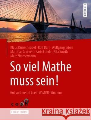 So Viel Mathe Muss Sein!: Gut Vorbereitet in Ein Wimint-Studium Dürrschnabel, Klaus 9783662579503 Springer Spektrum