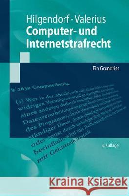 Computer- Und Internetstrafrecht: Ein Grundriss Hilgendorf, Eric 9783662594452 Springer