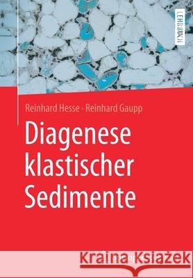 Diagenese Klastischer Sedimente Hesse, Reinhard 9783662596845 Springer Spektrum