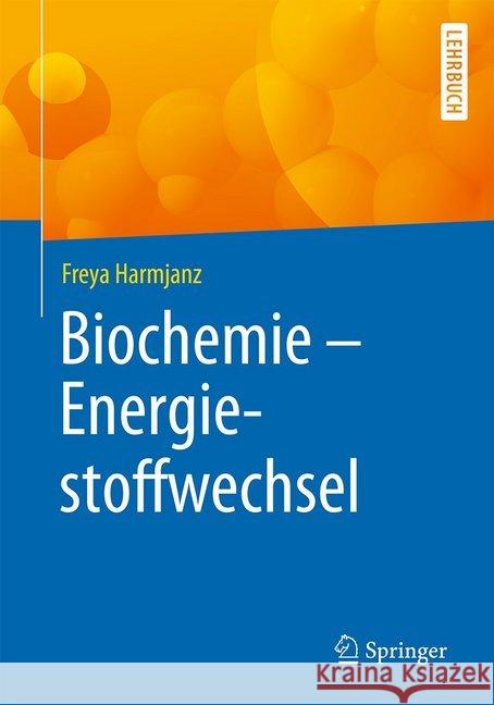 Biochemie - Energiestoffwechsel Freya Harmjanz 9783662602713 Springer