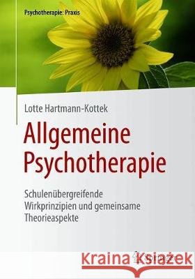 Allgemeine Psychotherapie: Schulenübergreifende Wirkprinzipien Und Gemeinsame Theorieaspekte Hartmann-Kottek, Lotte 9783662612552 Springer