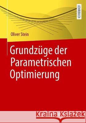 Grundzüge Der Parametrischen Optimierung Stein, Oliver 9783662619896