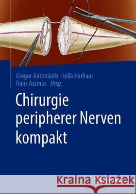 Chirurgie Peripherer Nerven Kompakt Gregor Antoniadis Leila Harhaus Hans Assmus 9783662625033 Springer