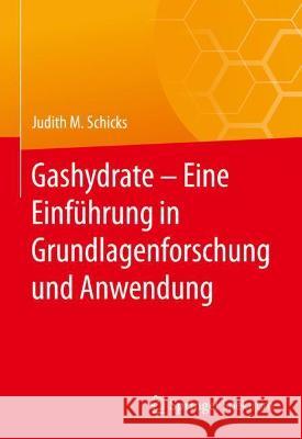 Gashydrate - Eine Einführung in Grundlagenforschung Und Anwendung Schicks, Judith M. 9783662627778 Springer