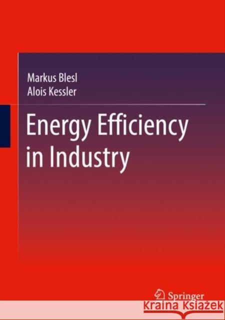 Energy Efficiency in Industry Markus Blesl Alois Kessler 9783662639221 Springer