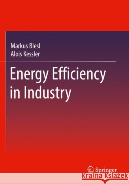 Energy Efficiency in Industry Markus Blesl Alois Kessler 9783662639252 Springer
