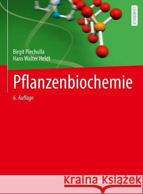 Pflanzenbiochemie Birgit Piechulla Hans Walter Heldt 9783662654286 Springer Spektrum