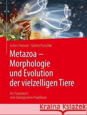 Metazoa - Morphologie und Evolution der vielzelligen Tiere: Ein Praxisbuch zum Zoologischen Praktikum Achim Paululat G?nter Purschke 9783662661833 Springer Spektrum