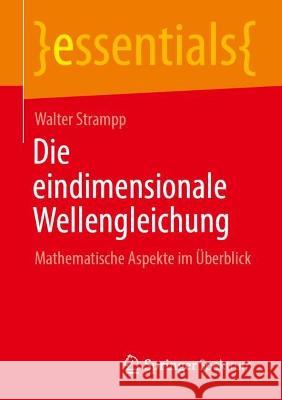 Die eindimensionale Wellengleichung: Mathematische Aspekte im Überblick Walter Strampp 9783662664278 Springer Fachmedien Wiesbaden