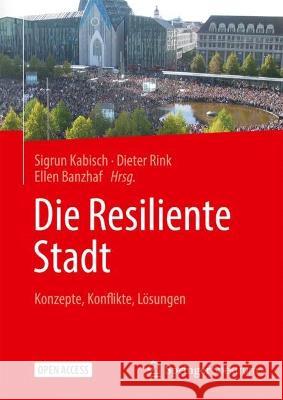 Die Resiliente Stadt: Konzepte, Konflikte, Lösungen Sigrun Kabisch Dieter Rink Ellen Banzhaf 9783662669150 Springer Spektrum