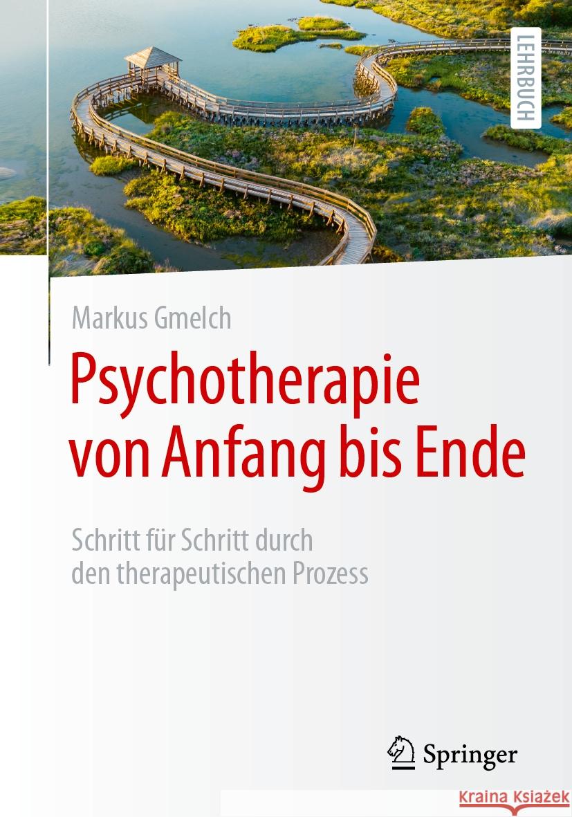 Psychotherapie Von Anfang Bis Ende: Schritt F?r Schritt Durch Den Therapeutischen Prozess Markus Gmelch 9783662684894