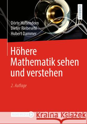 H?here Mathematik Sehen Und Verstehen D?rte Haftendorn Dieter Riebesehl Hubert Dammer 9783662692912 Springer Spektrum