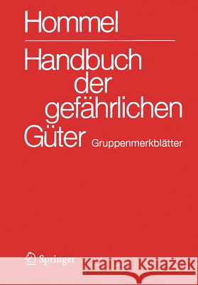 Handbuch Der Gef?hrlichen G?ter. Gruppenmerkbl?tter J?rg Holzh?user Mario K?nig J?rg Holzh?user 9783662716892 Springer Vieweg