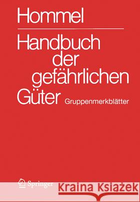 Handbuch Der Gef?hrlichen G?ter. Gruppenmerkbl?tter J?rg Holzh?user Mario K?nig J?rg Holzh?user 9783662716892 Springer Vieweg
